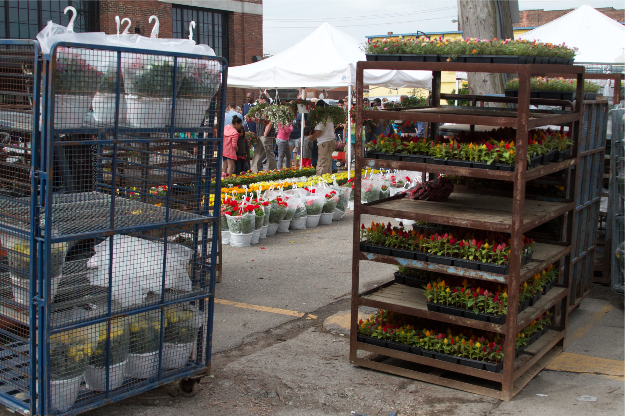 Flower Racks Eastern Market Detroit 3